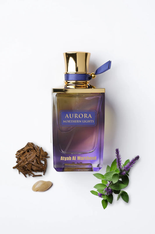 Aurora Northern Lights