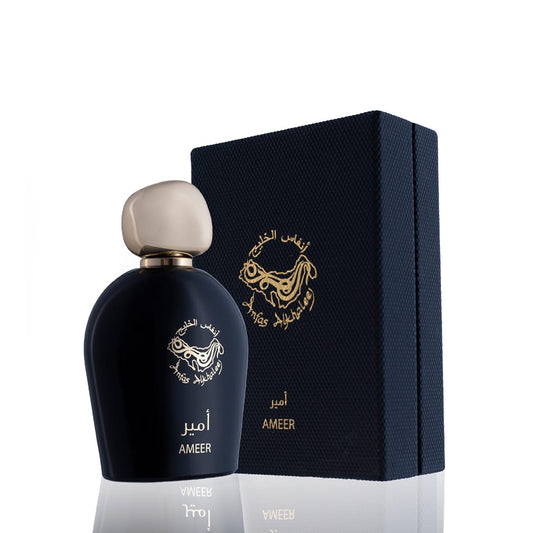 Ameer